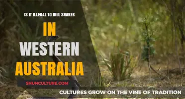 Snake Killing in Western Australia: What's the Law?