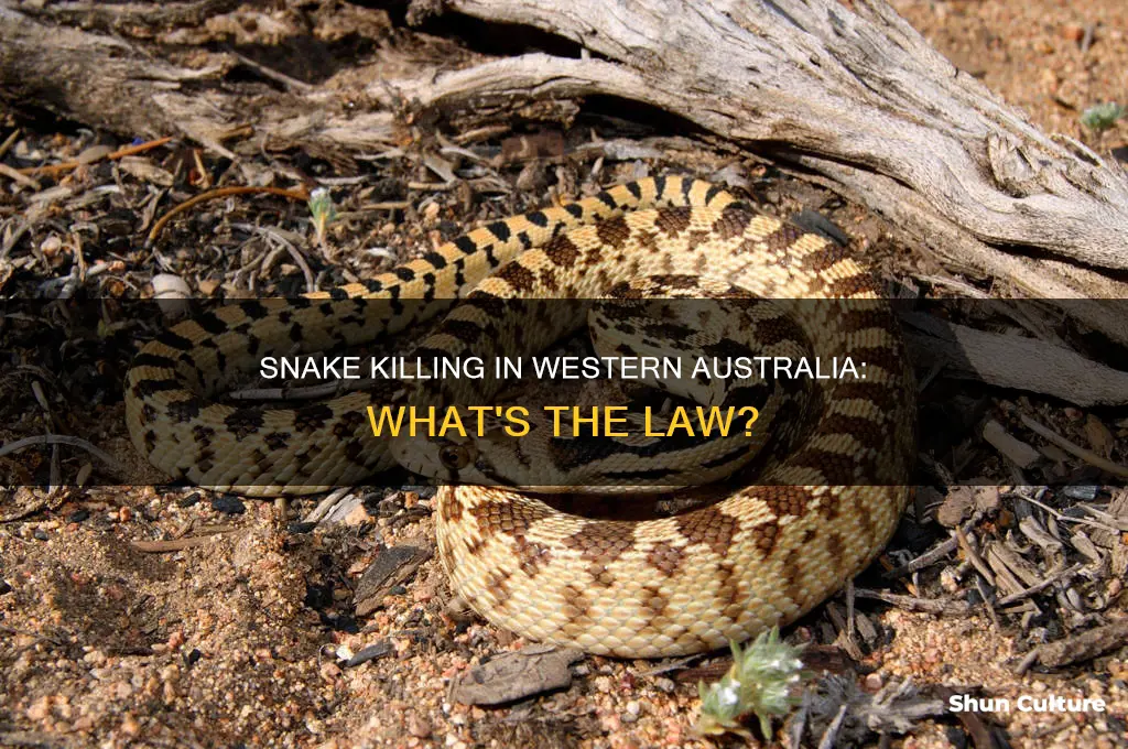 is it illegal to kill snakes in western australia