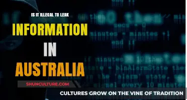 Leaking Information: Australia's Legal Perspective