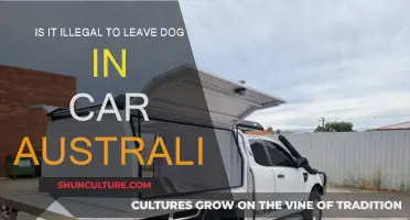 Leaving Dogs in Cars: Australia's Law Explained