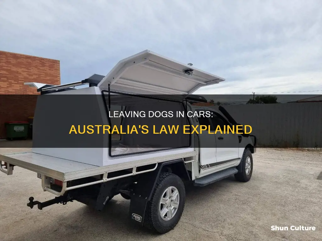is it illegal to leave dog in car australia