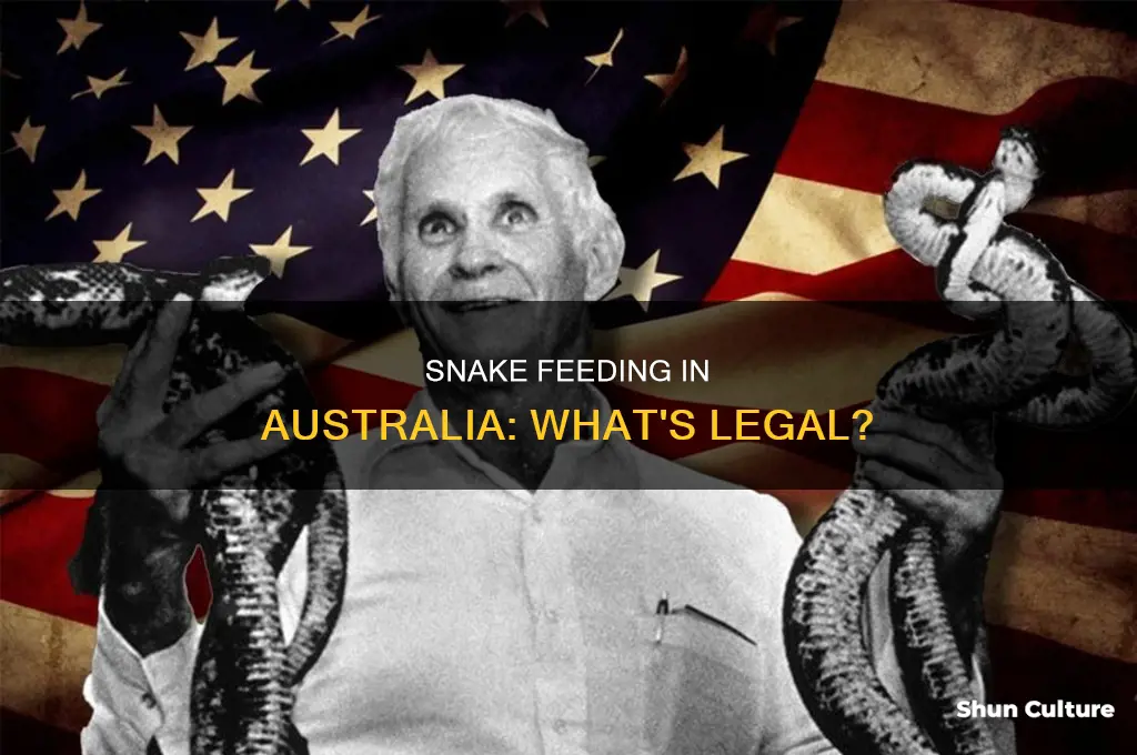 is it illegal to live feed snakes in australia