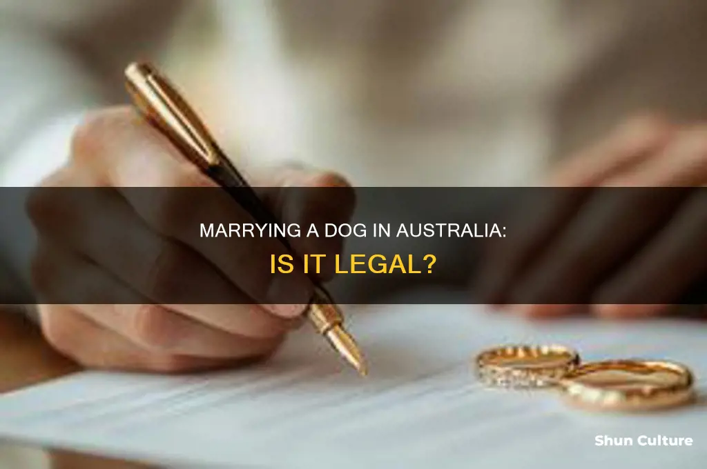 is it illegal to marry a dog in australia