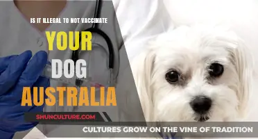 Dog Vaccinations: Are Australian Pet Owners Breaking the Law?