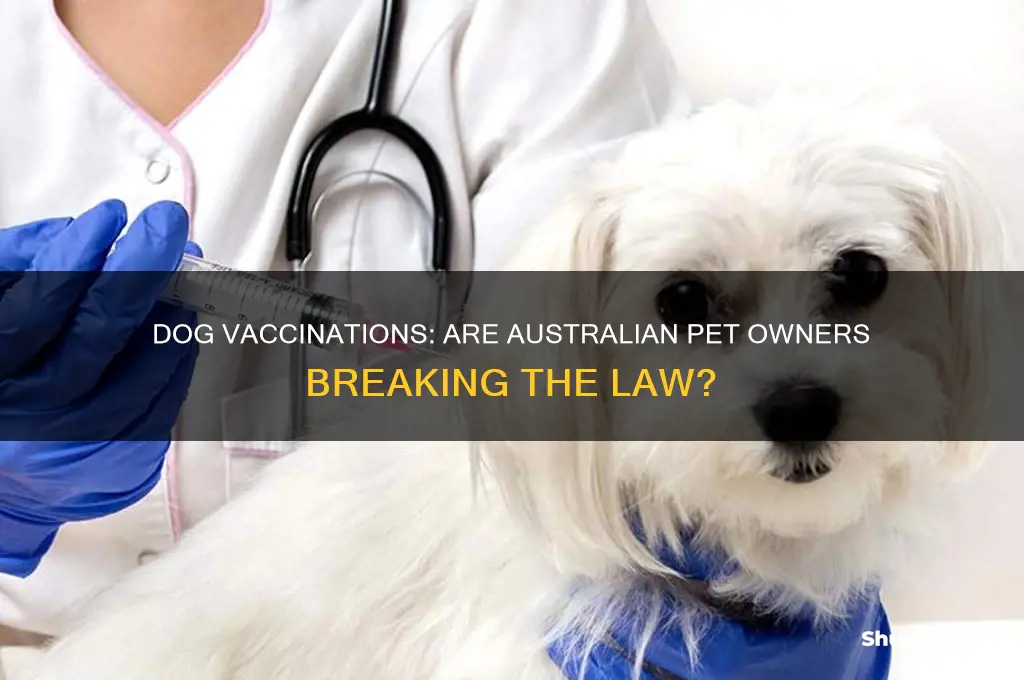 is it illegal to not vaccinate your dog australia