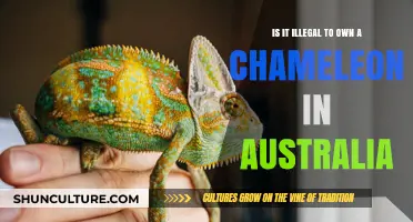 Chameleon Ownership in Australia: What's the Law?