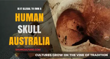Human Skull Ownership: Australia's Legal Stance