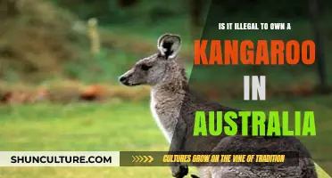 Kangaroo Ownership: Australia's Legal Take