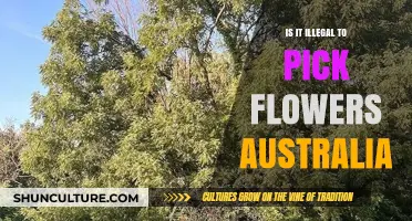 Picking Flowers in Australia: What's Legal?