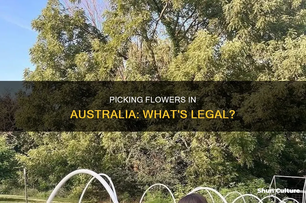 is it illegal to pick flowers australia