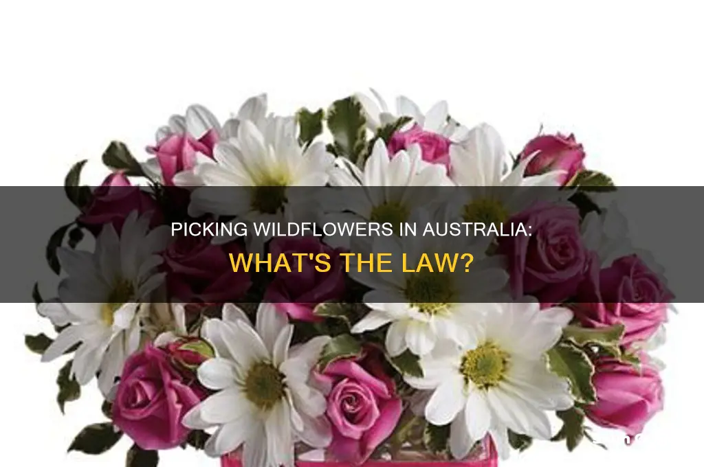 is it illegal to pick wildflowers in australia
