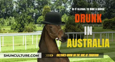 Drunk Horseback Riding: Australia's Law