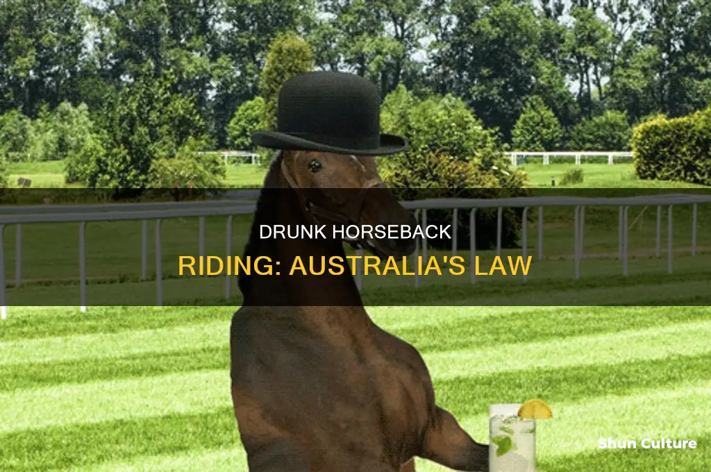 is it illegal to ride a horse drunk in australia