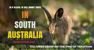Rabbit Traps: Legal to Sell in South Australia?