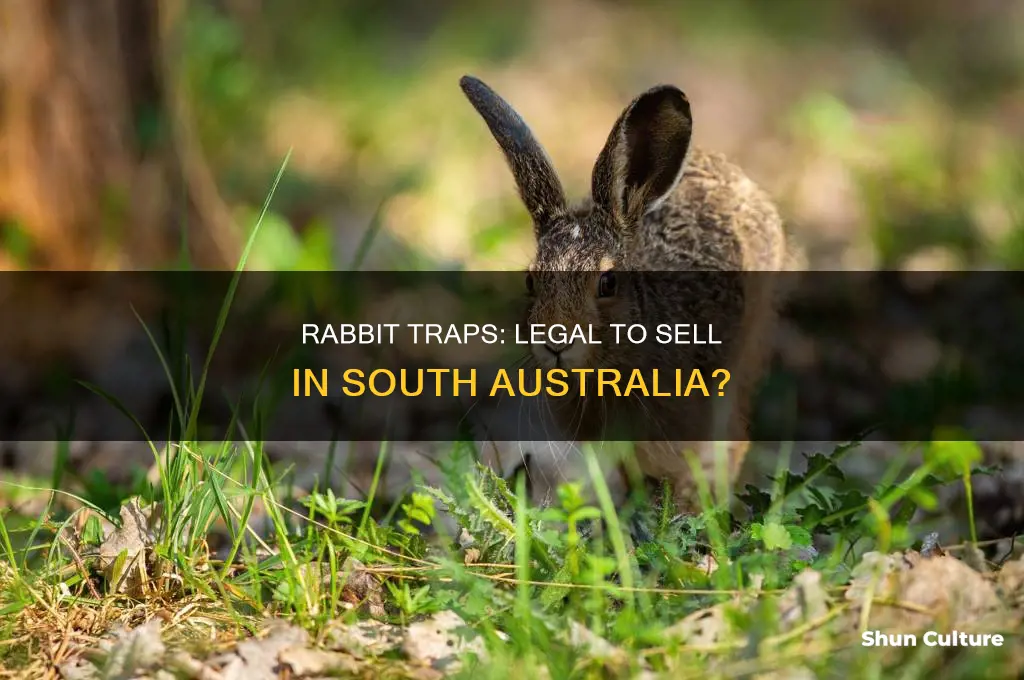 is it illegal to sell rabbit traps in south australia