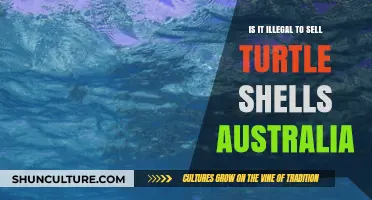 Selling Turtle Shells in Australia: Is It Legal?