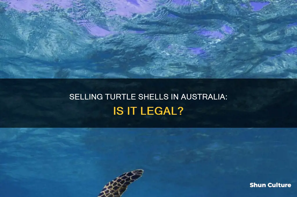 is it illegal to sell turtle shells australia