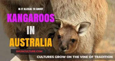 Shooting Kangaroos: Australia's Legal Stance