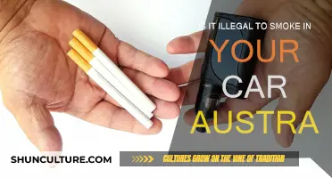 Smoking in Cars: Australia's Laws and Your Health