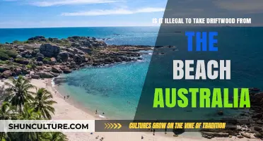 Taking Driftwood from Australian Beaches: Is It Legal?
