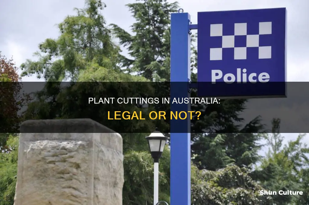 is it illegal to take plant cuttings australia