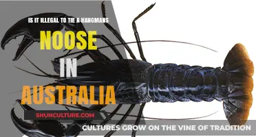 Laws on Hangman's Noose Display in Australia