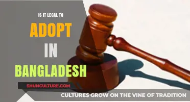 Adopting in Bangladesh: Legal Requirements and Processes Explained