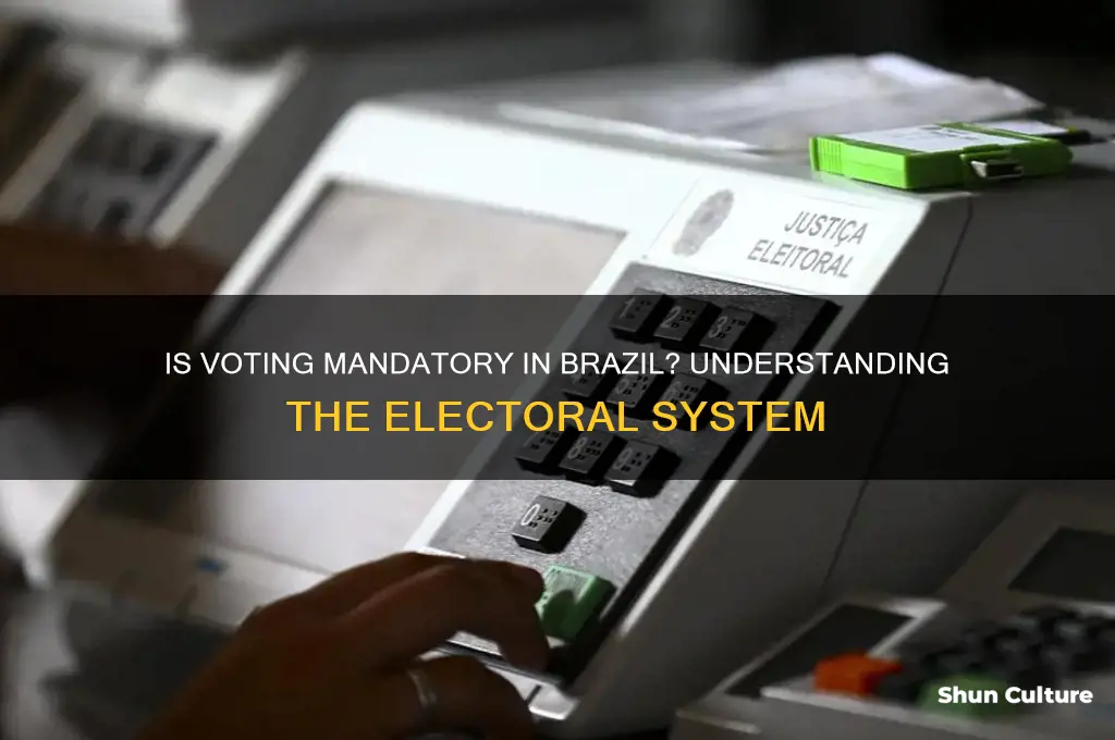 is it mandatory to vote in brazil