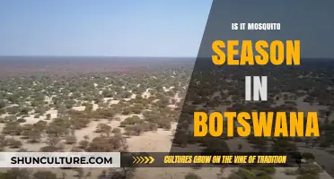 Mosquito Season in Botswana: What You Need to Know Now