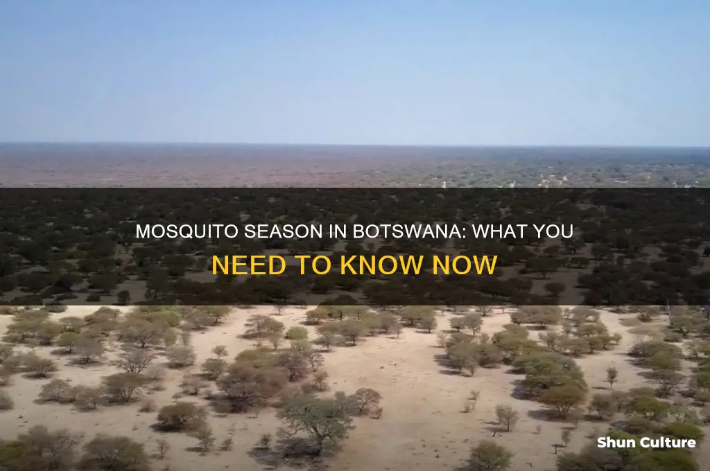 is it mosquito season in botswana