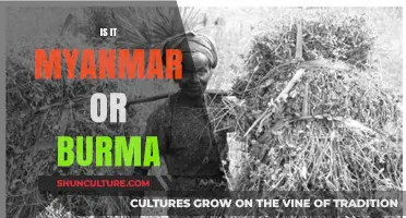 Myanmar or Burma: Unraveling the Complex History Behind the Names