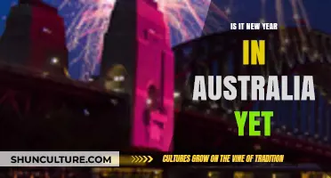 Is Australia Ringing in the New Year Yet? A Time Zone Guide