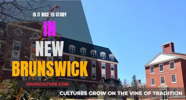 Studying in New Brunswick: A Nice Experience?