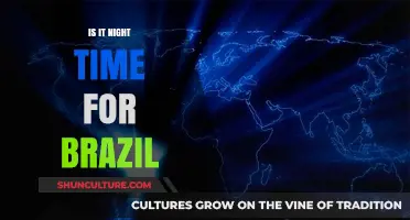 Is It Night Time for Brazil? Exploring the Current Economic Climate