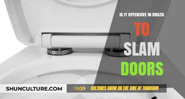 Slamming Doors in Brazil: Cultural Norms or Offensive Gesture?