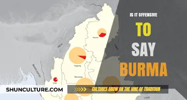 Exploring Sensitivity: Is 'Burma' an Offensive Term?