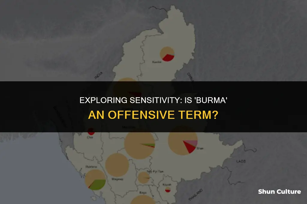 is it offensive to say burma