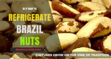 Refrigerating Brazil Nuts: Benefits, Risks, and Best Storage Practices