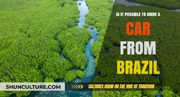 Can You Drive a Car from Brazil to Other Countries?