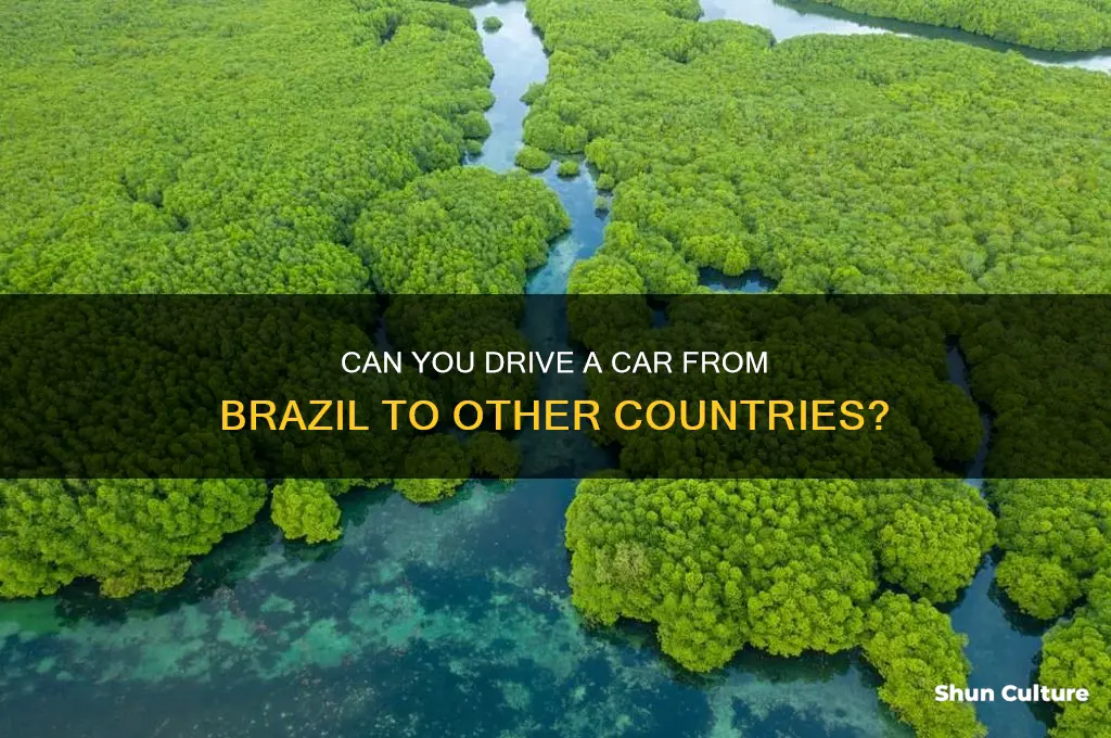 is it possible to drive a car from brazil