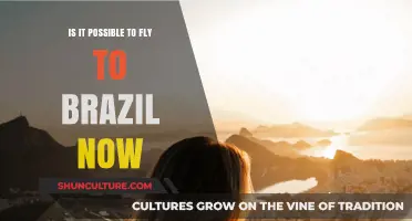 Can You Fly to Brazil Now? Travel Updates and Restrictions