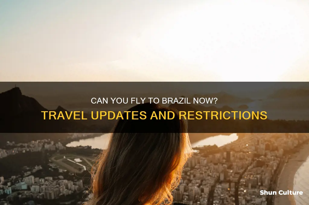 is it possible to fly to brazil now