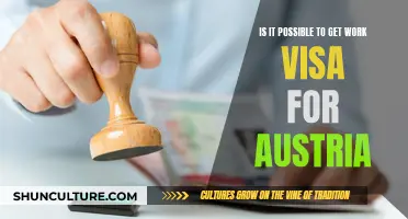 Working in Austria: Visa Requirements and Process