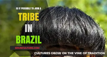 Exploring the Possibility of Joining a Brazilian Tribe: A Guide