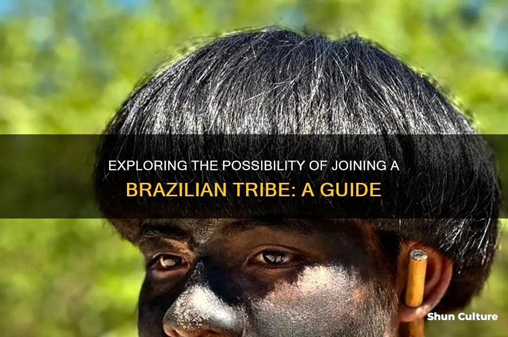 is it possible to join a tribe in brazil