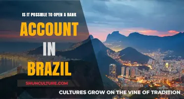 Opening a Bank Account in Brazil: Requirements and Possibilities