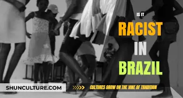 Is Brazil Racist? Uncovering Racial Dynamics in Brazilian Society
