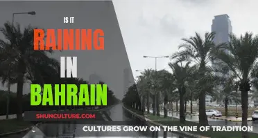 Rain in Bahrain: A Weather Watch