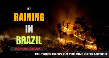 Is It Raining in Brazil? Exploring the Country's Climate Patterns