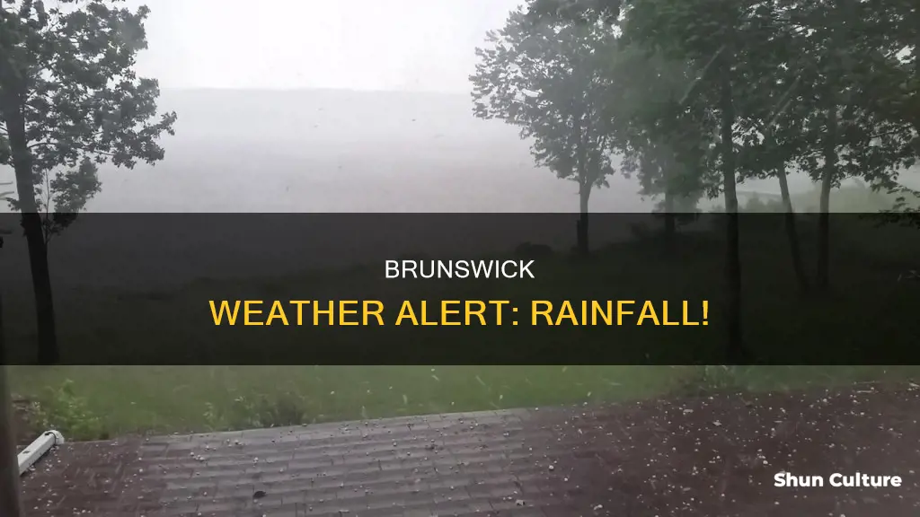 is it raining in brunswick